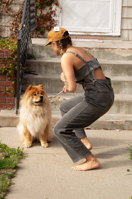 Speakeasy Black Denim Overall