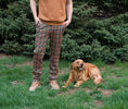 Load image into Gallery viewer, Arne Plaid Pant
